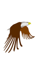 baldeagletrans.gif